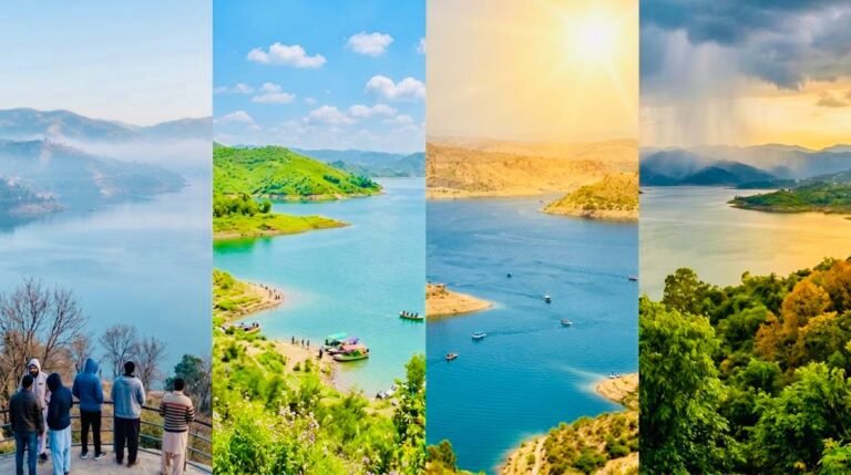 Mirpur Azad Kashmir weather guide — full-year climate chart for UK visitors and overseas Pakistanis